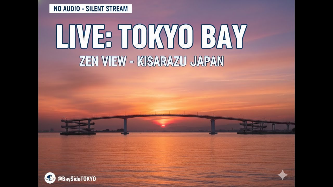 LIVE: Tokyo Bay Zen View - Kisarazu Port, Japan (No Audio)