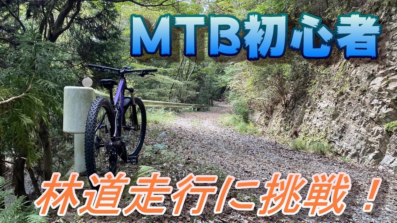 MTBで行くソロ林道　千両線