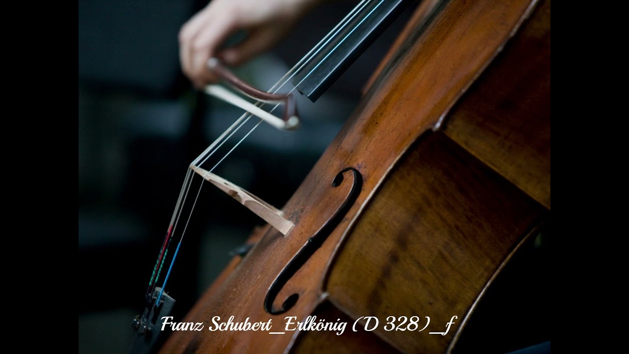 Erlkönig(D 328), Reborn: Schubert Inspired AI Creation Classical Feel