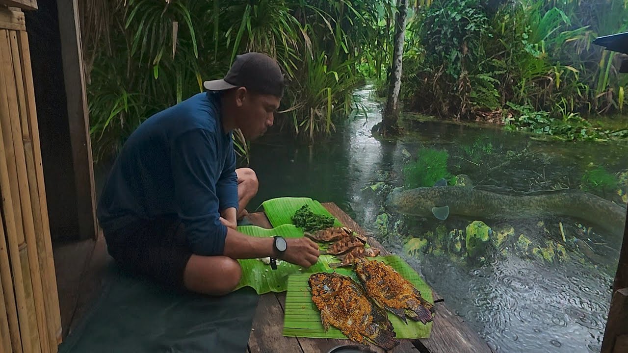 Di guyur hujan deras Berburu ikan siang dan malam di sarang ikan sidat