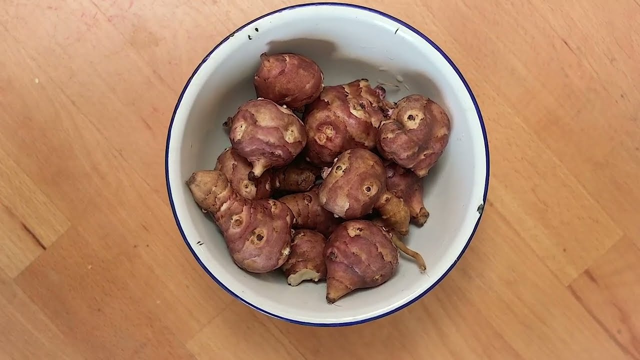 Čičoka - za šta se koristi i zašto je tolko lekovita