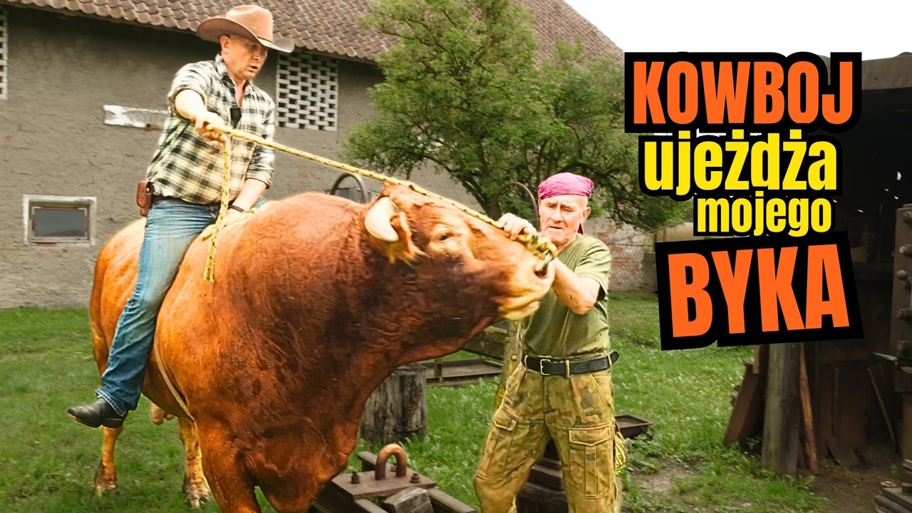 Prawdziwy KOWBOJ odwiedziła ROMKA. Łapią BYKA na lasso jak w RODEO