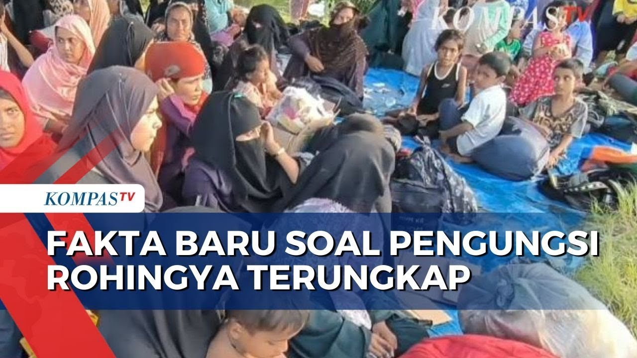 Terungkap! Tujuan Pengungsi Rohingya Memang Sengaja ke Indonesia