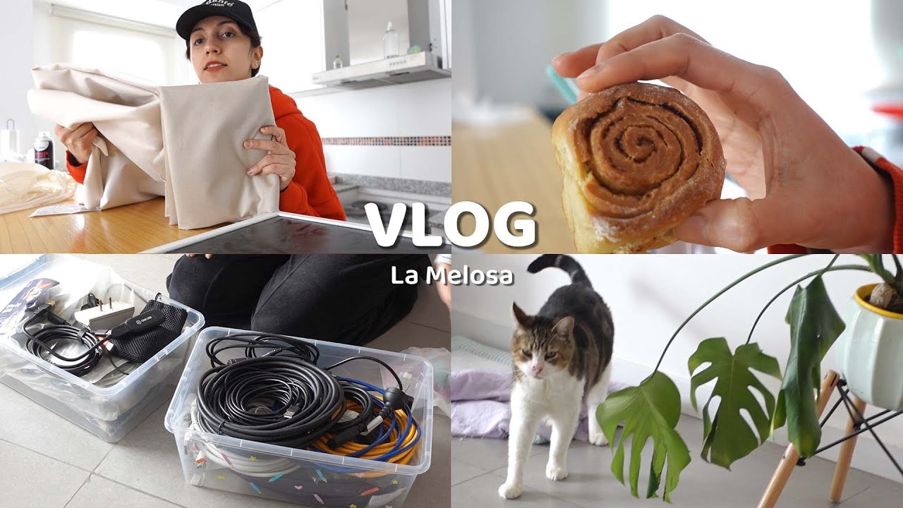 INTERACCIÓN SOCIAL SATISFACTORIA y RETAPIZAR (vlog)