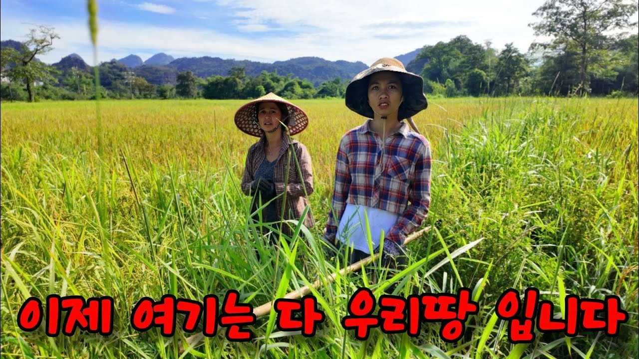 10년전 팔아서 힘들게 다시 찾은 땅에 장모님은.....