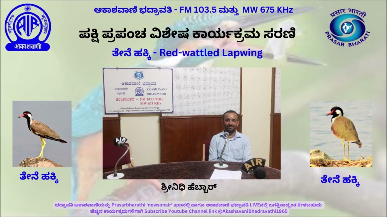 ತೇನೆ ಹಕ್ಕಿ - Red-wattled Lapwing  | ಪಕ್ಷಿ ಪ್ರಪಂಚ ವಿಶೇಷ ಕಾರ್ಯಕ್ರಮ ಸರಣಿ