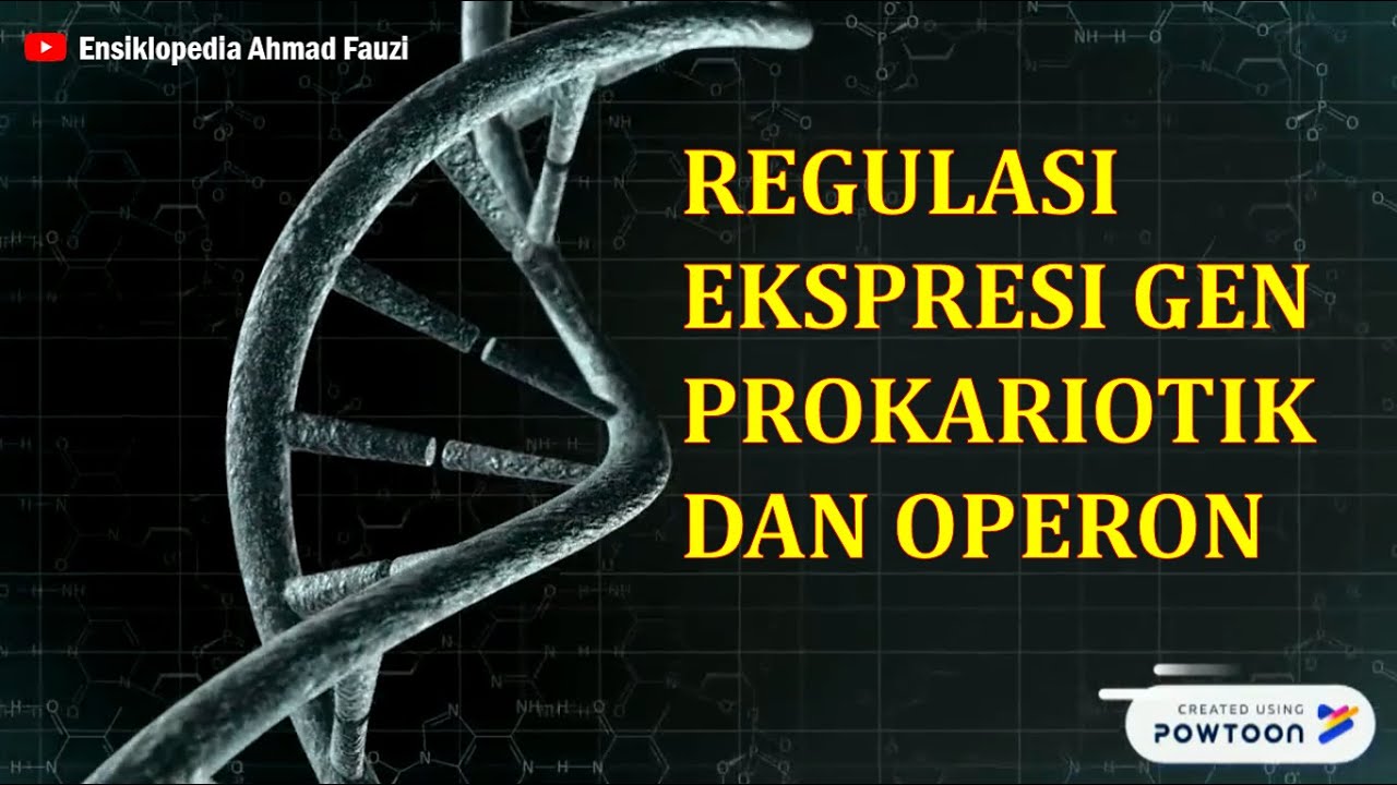 Regulasi Ekspresi Genetik pada Prokariotik dan Operon pada Bakteri