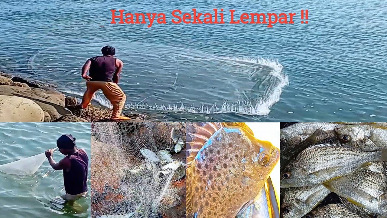 Luar Biasa !! Jala Ikan Dalam Ombak Laut Pasang, Dapat Beragam Jenis Ikan Besar