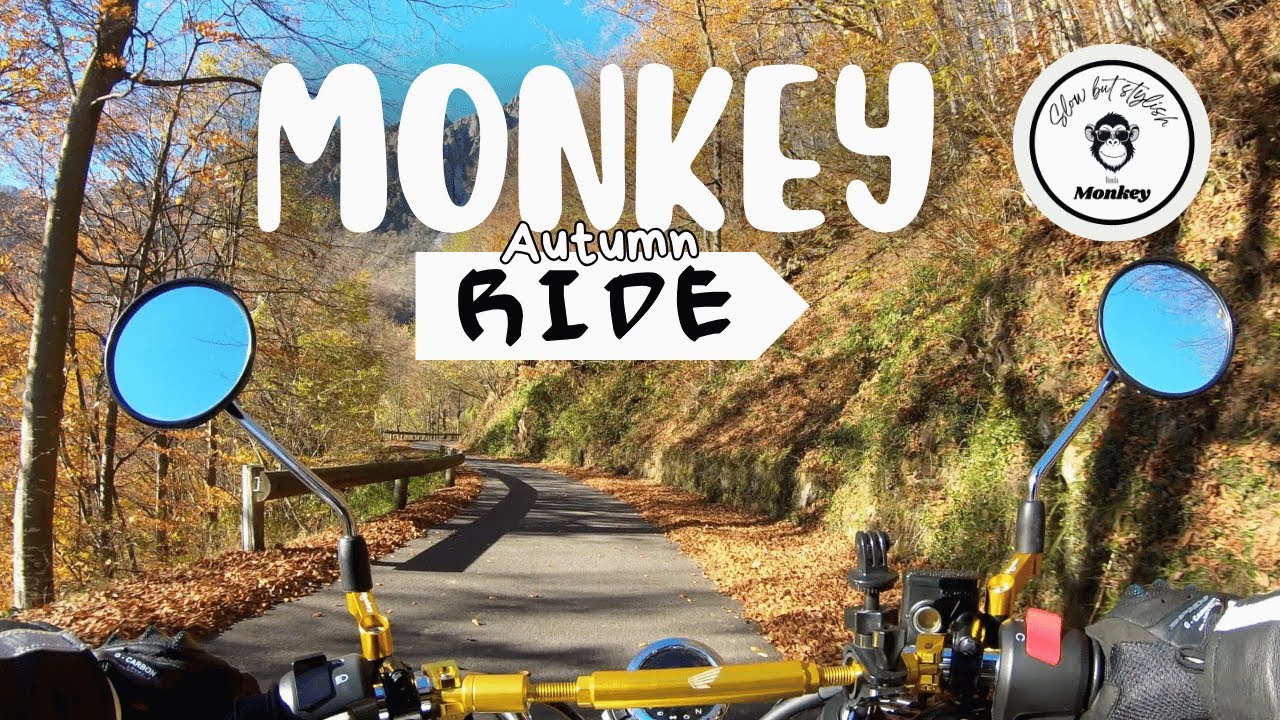 Honda Monkey 125 | Dancing with Autumn 🍂 | Through Lakes and Mountain Passes