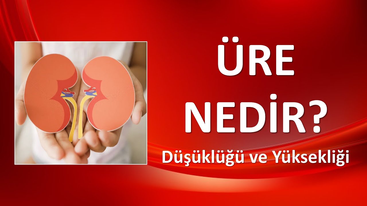 &Uuml;RE NEDİR?  D&uuml;ş&uuml;kl&uuml;ğ&uuml; ve Y&uuml;ksekliği Ne Anlama Gelir?