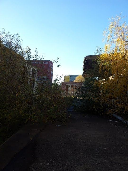 Let's Play DayZ Namalsk Reallife (Mit TeddyimSuff)