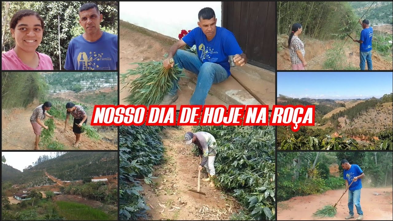 COMO FAZEMOS VASSOURA DE BAMBÚ/ESPALHANDO A LAVOURA DE CAFÉ