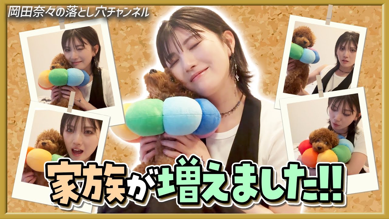 【ご報告】トイプードルの男の子をお迎えしました！【てんし】