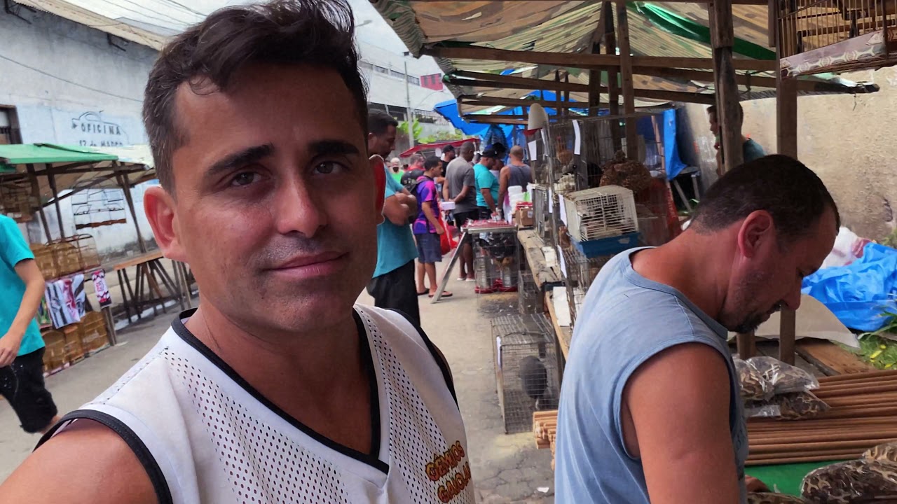 Fabricantes de Gaiolas | Feira de Duque de Caxias