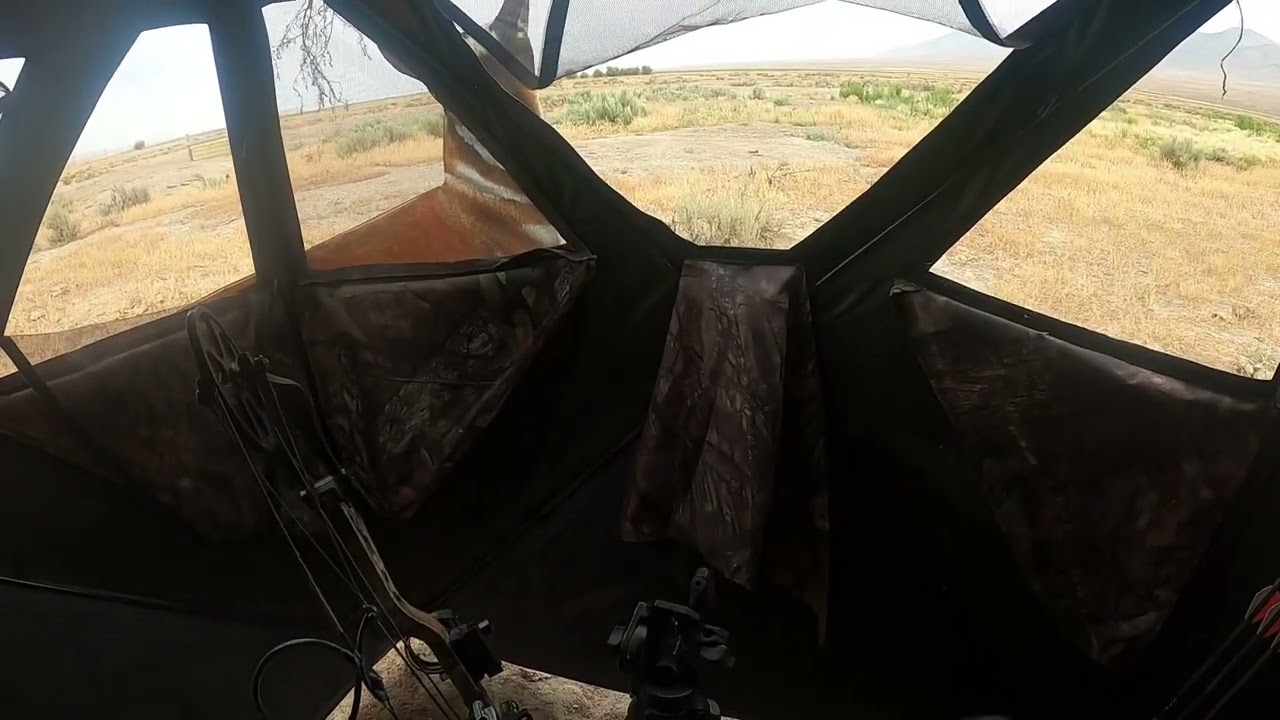 Nevada Archery Antelope Hunt 2022