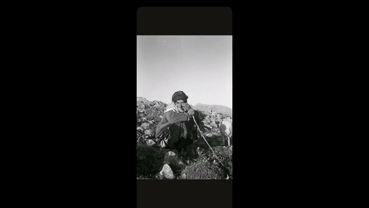 YÖRÜK AŞİRETİ