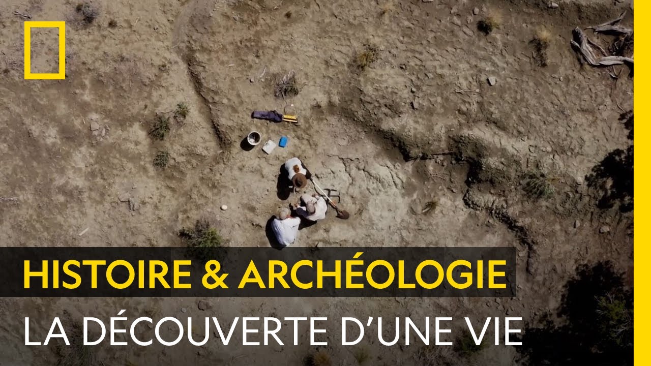 Un paléontologue raconte sa découverte d'un fossile de tyrannosaure
