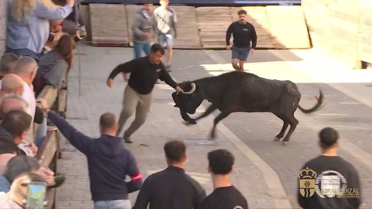 Resumen del encierro dell 20/9/2025 en Moralzarzal