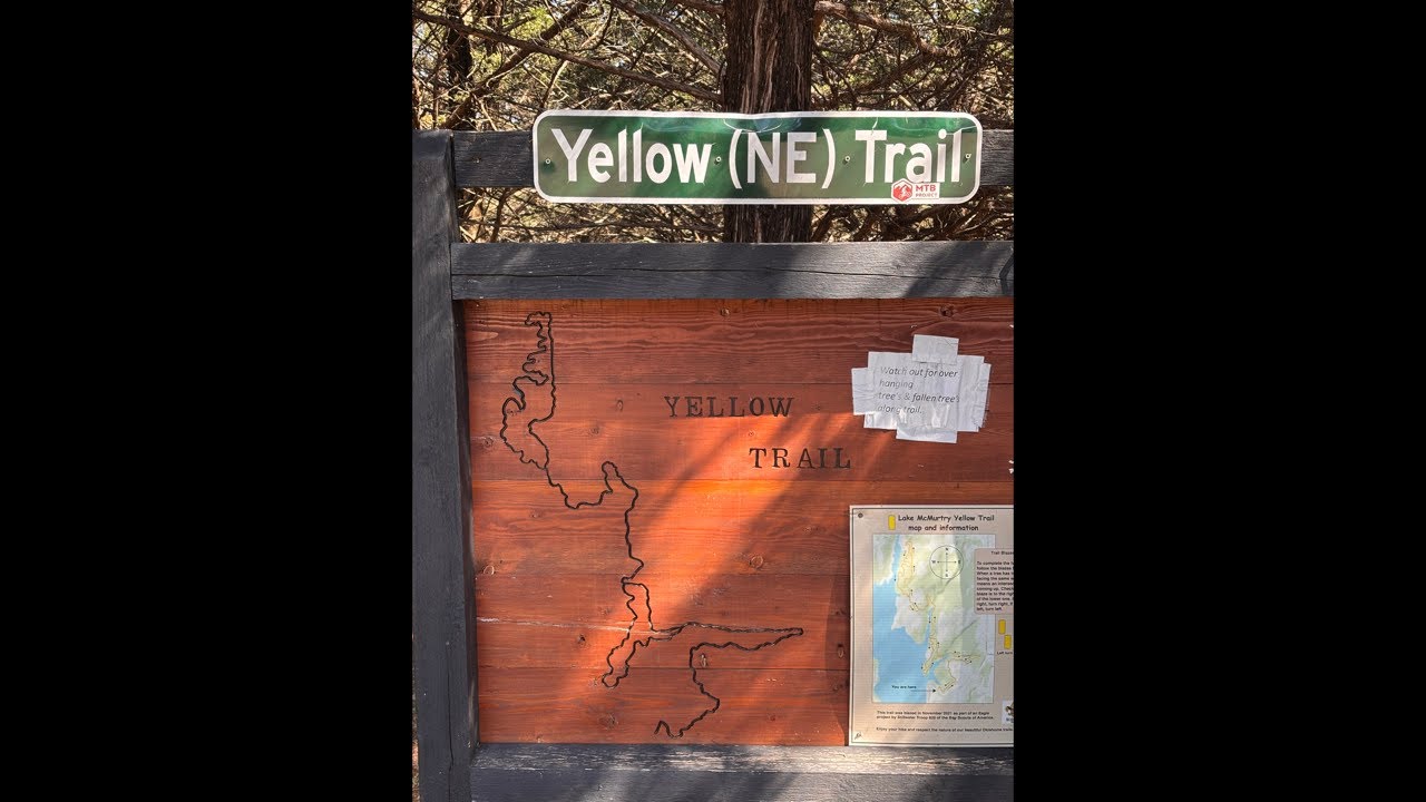 Relaxing Nature Walk
