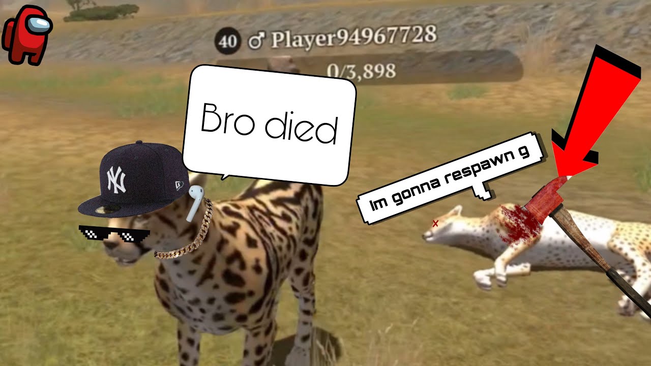 The Cheetah Online Simulator // Killing every player in the server