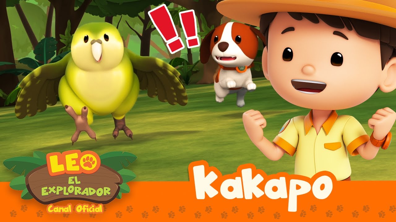 Un pájaro que puede CORRER?! | Kakapo | Leo, El Explorador | Animación | #compilation