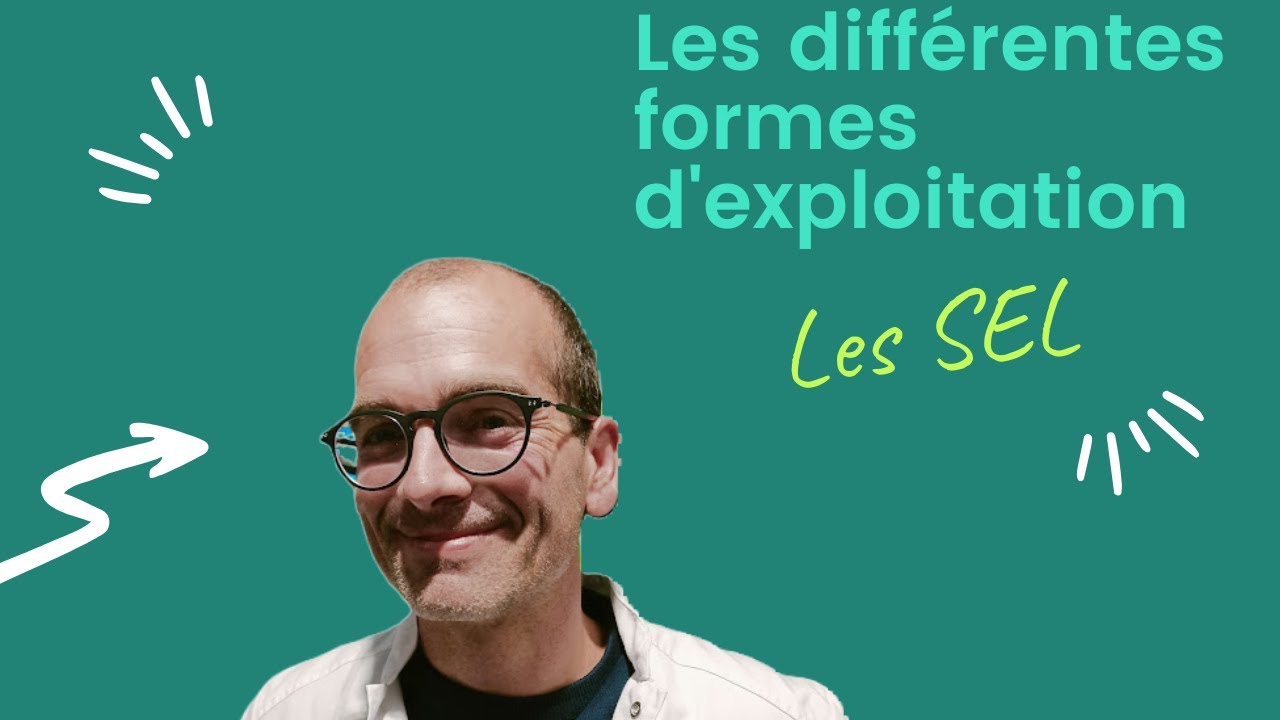 Les diff&eacute;rentes formes d'exploitation: Les SEL