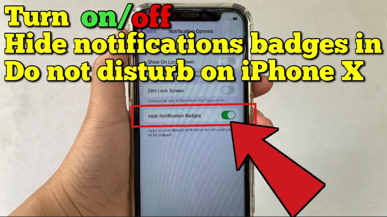 How to turn on or off hide notifications badges in do not disturb on iPhone X