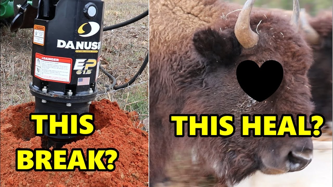 Ep. 139 - Fencing the Bison Bull Pasture and Update on Kisses | Blackacre Ranch