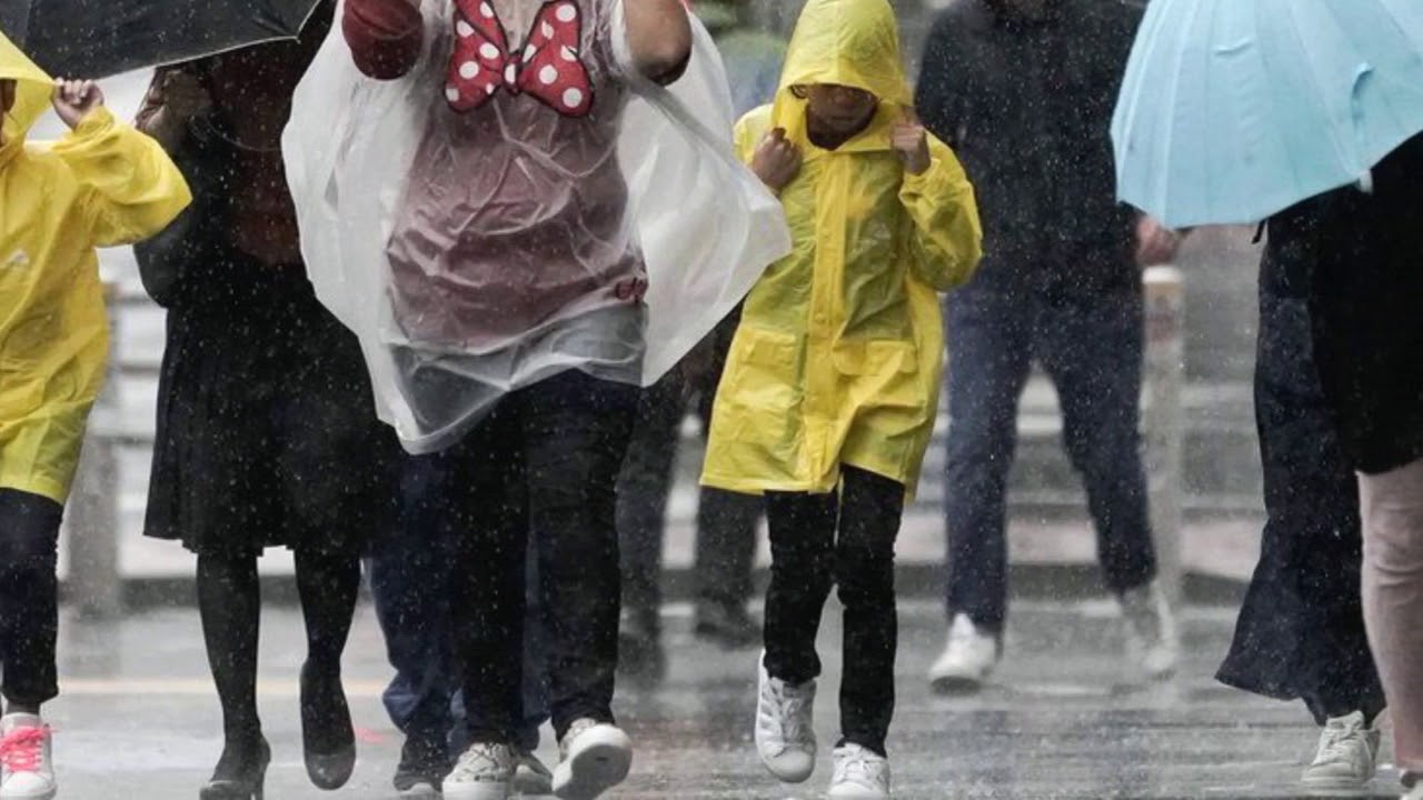 Photo collection of Typhoon in Japan on Oct 2019