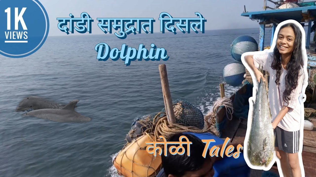 दांडी समुद्रात दिसले Dolphin | बोट Safar| #dolphin #koli #कोळीtales #boisar #palghar #youtube