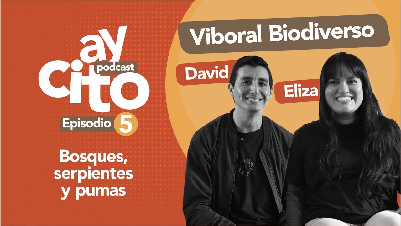 Bosques, serpientes y pumas 🐍 | Ep. 05. Viboral Biodiverso