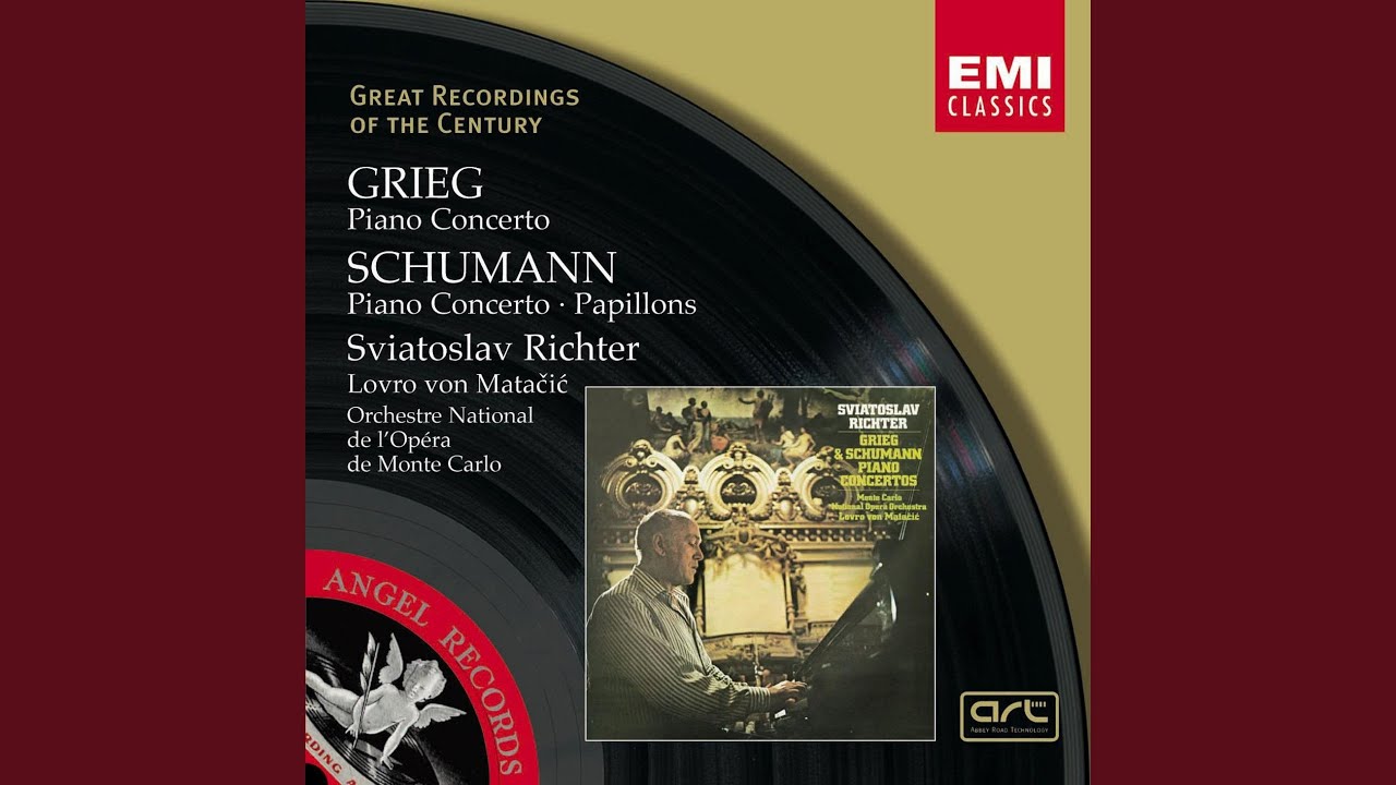 Piano Concerto in A Minor, Op. 16: I. Allegro molto moderato