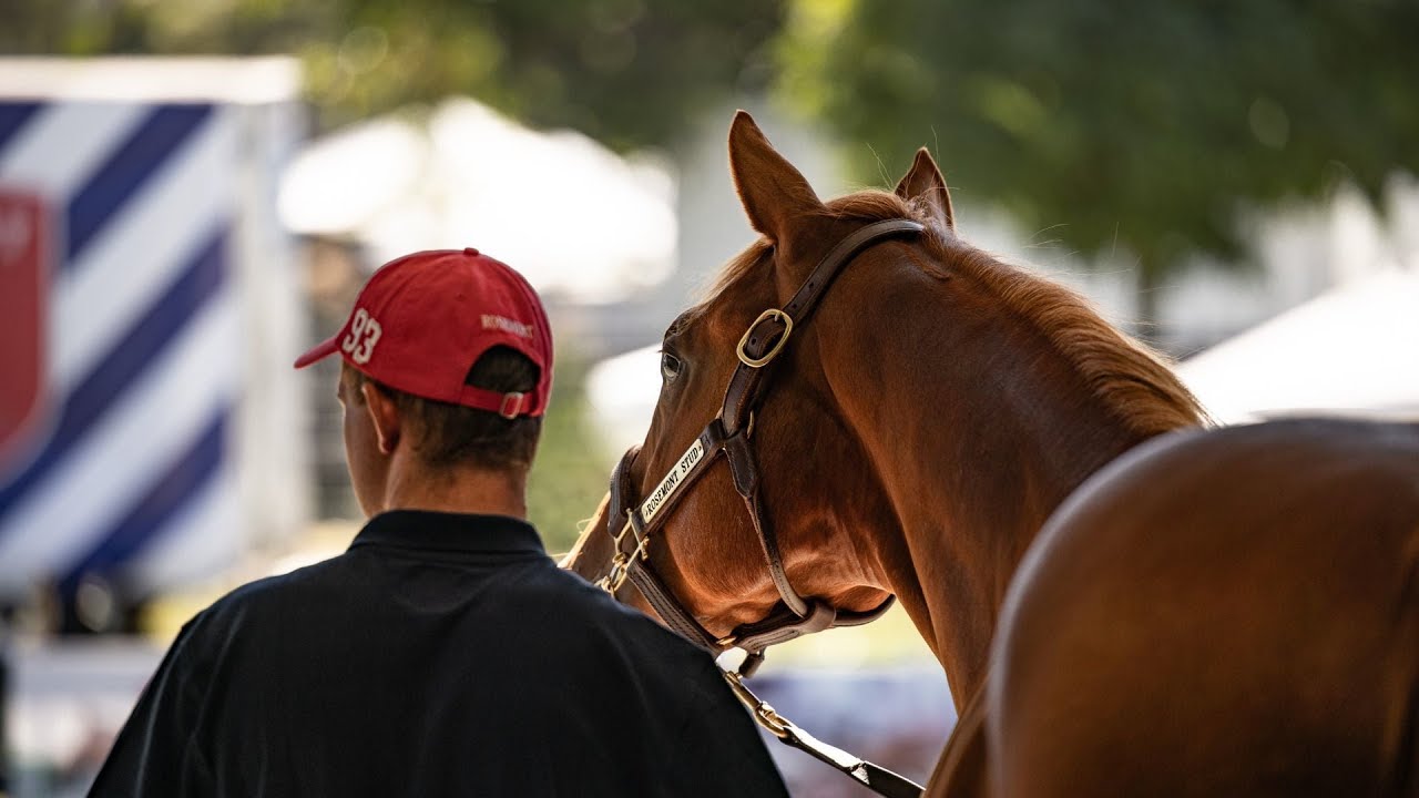 Rosemont Stud - 2024 Inglis Premier Yearling Sale