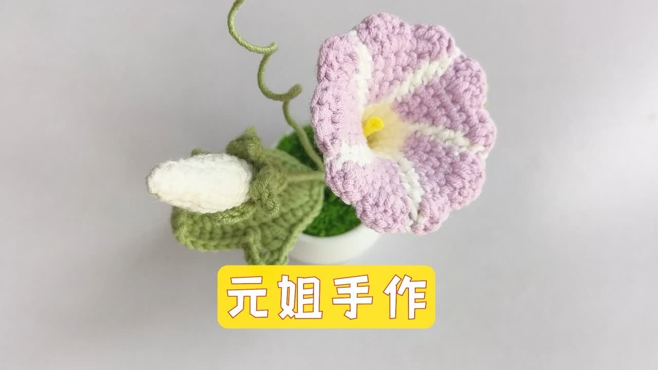 手工编织毛线花 牵牛花小盆栽 钩织教程 超简单