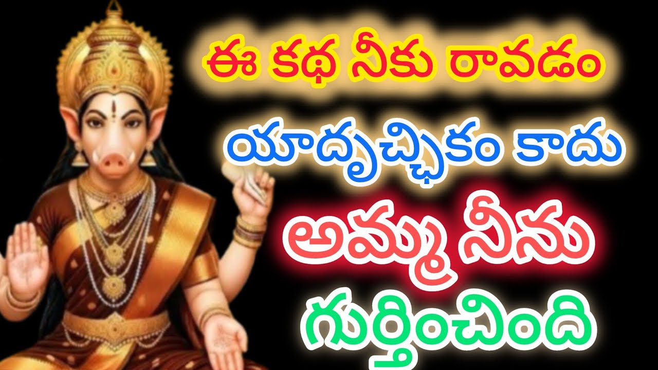 ఈ కథ నీకు రావడంయాదృచ్ఛికం కాదు అమ్మ నీను గుర్తించింది.