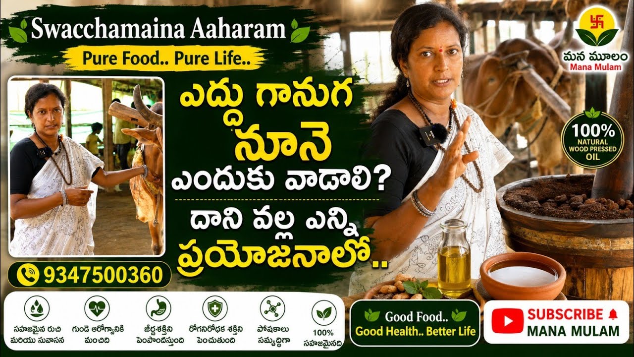 ఎద్దుగానుగ నూనె ఎందుకు వాడాలి?దాని వల్ల ఎన్ని  ప్రయోజనాలోI Swachamayina AaharamI Satyam24 Raithubadi