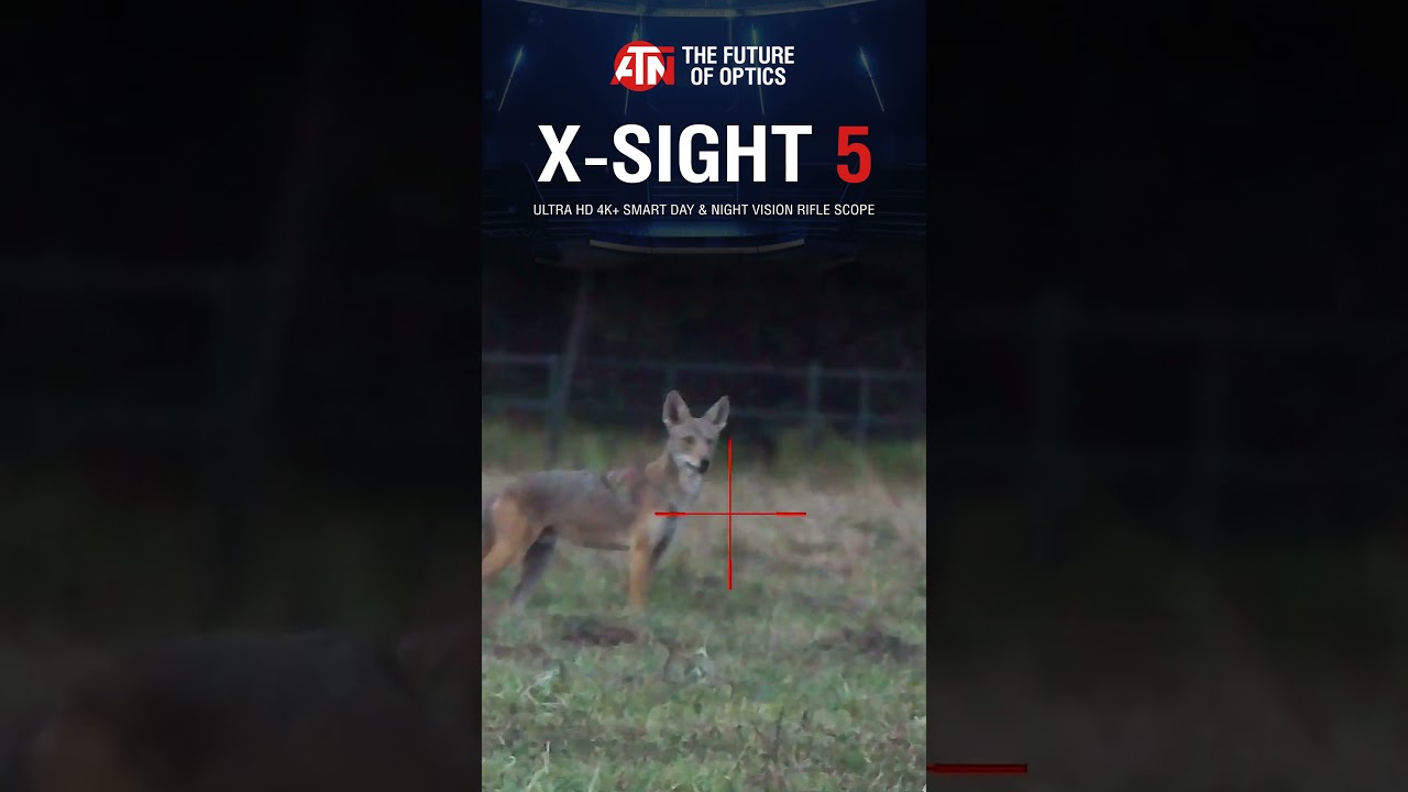 See the Unseen, Anytime, with X-Sight 5!