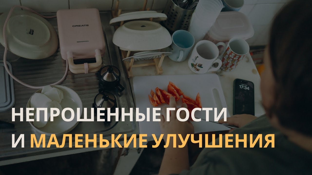 Непрошеные гости и планы по ремонту на 2026