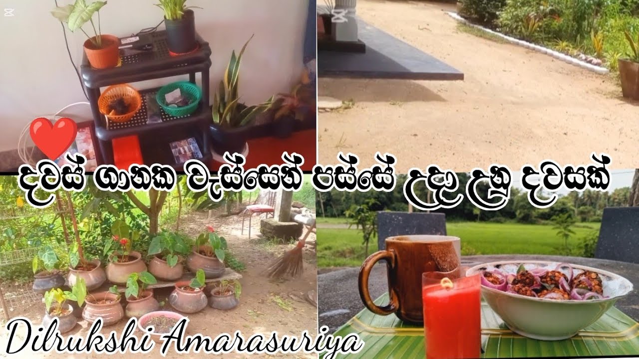 දවස් ගානක වැස්සෙන් පස්සේ උදා උනු දවසක්