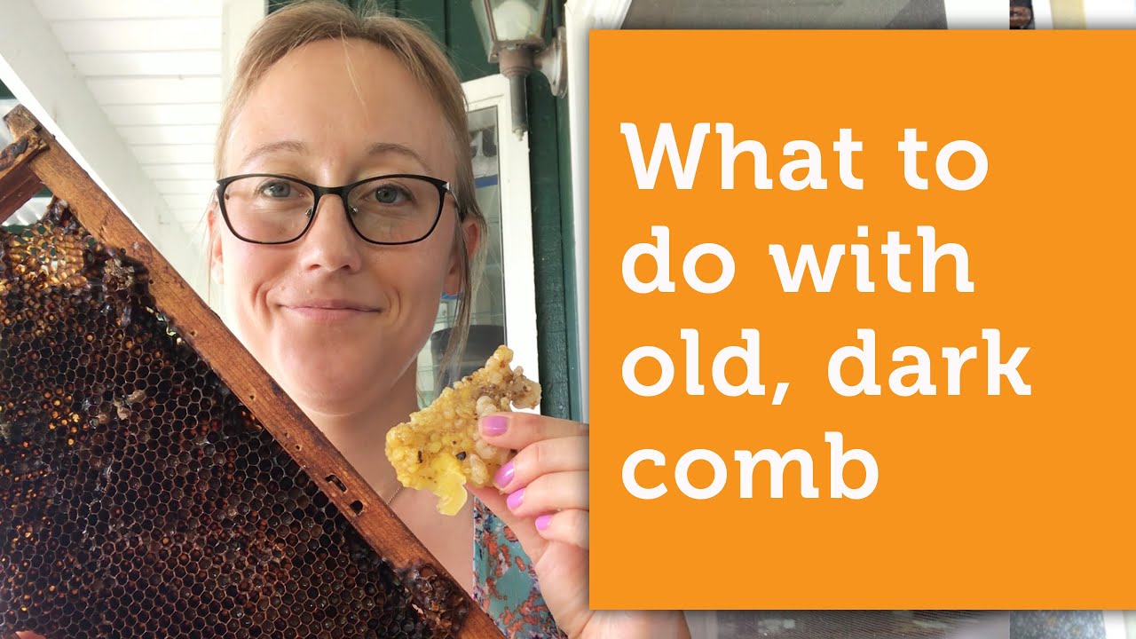 How to Turn Old, Dark Honeycomb Into Clean, Yellow Wax | What to do with dark beeswax