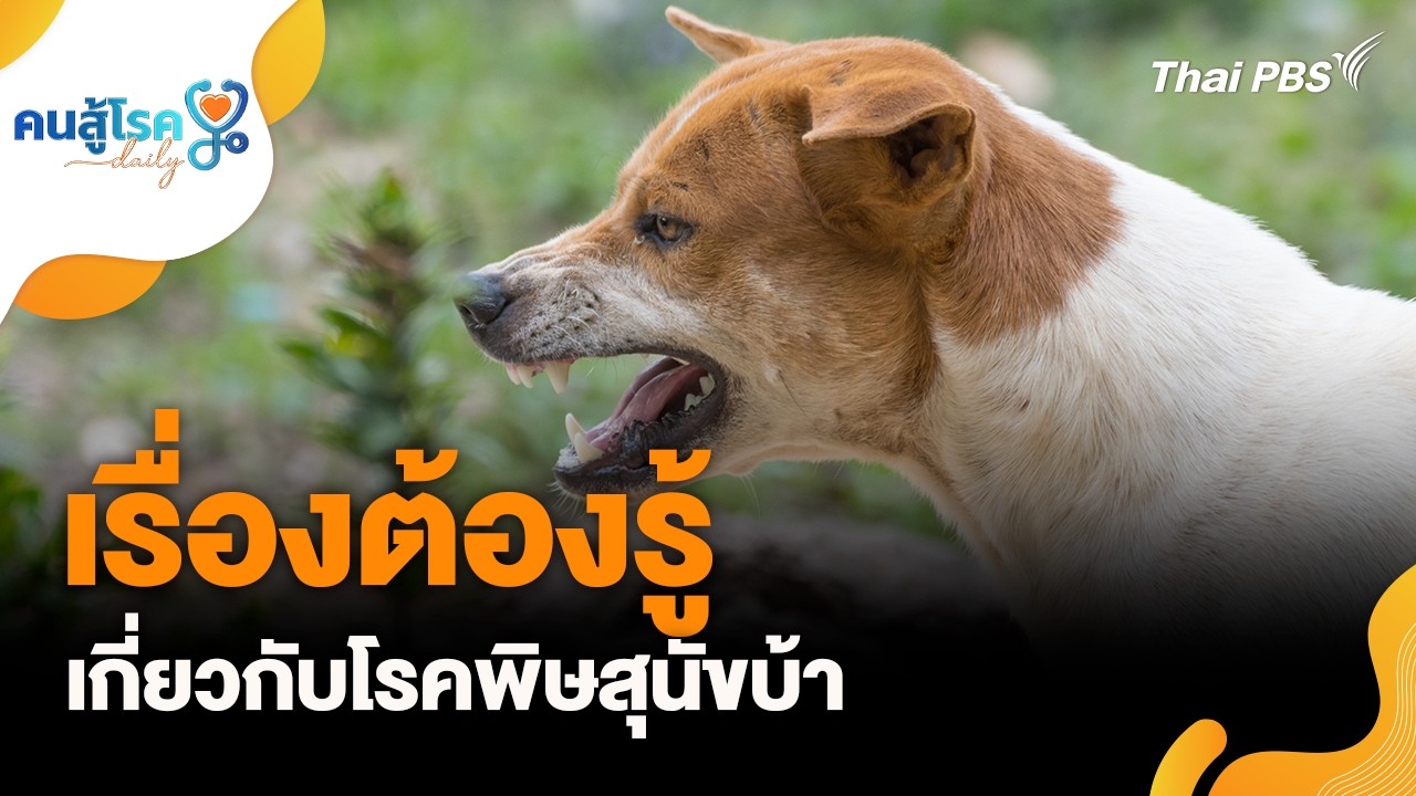 เรื่องต้องรู้เกี่ยวกับโรคพิษสุนัขบ้า | คนสู้โรค Daily | 5 มี.ค. 69