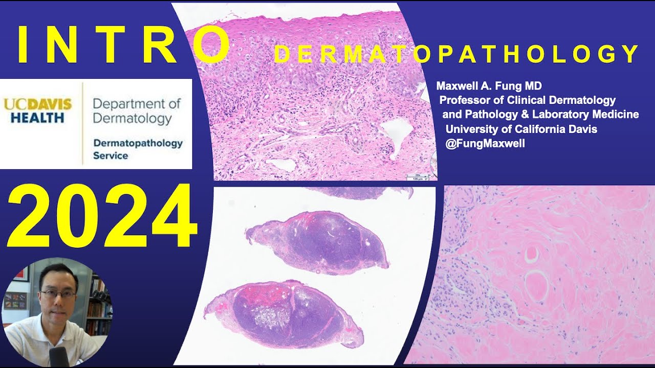 DERMATOPATHOLOGY: Introduction to Dermatopathology 2024