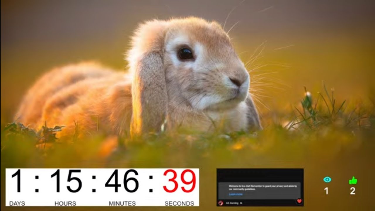 Easter Countdown 2024 (LIVE)