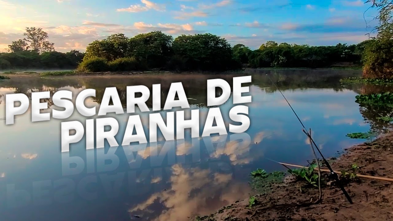 Daqui um tempo não vai dar nem pra entrar na água do Rio Gravataí 😬