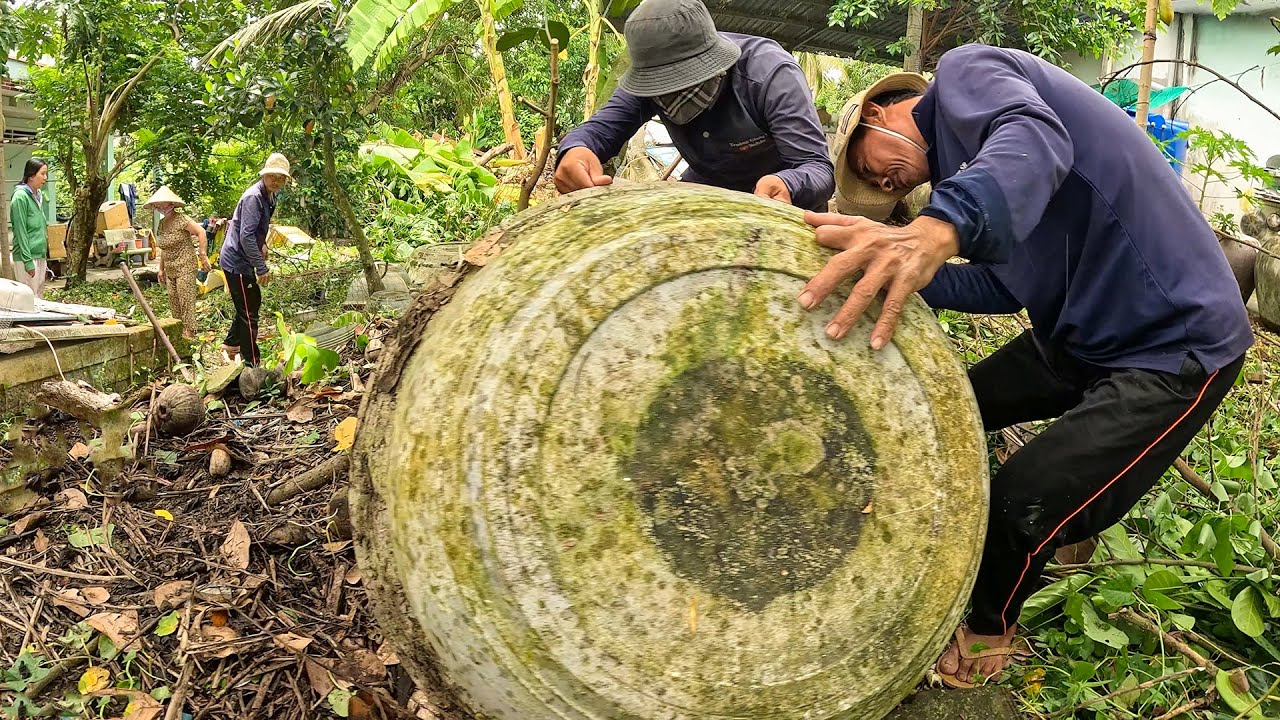 Tìm Con Rắn Khiến Nhiều Người Hoảng Sợ Bỏ Chạy | TGSB #1171