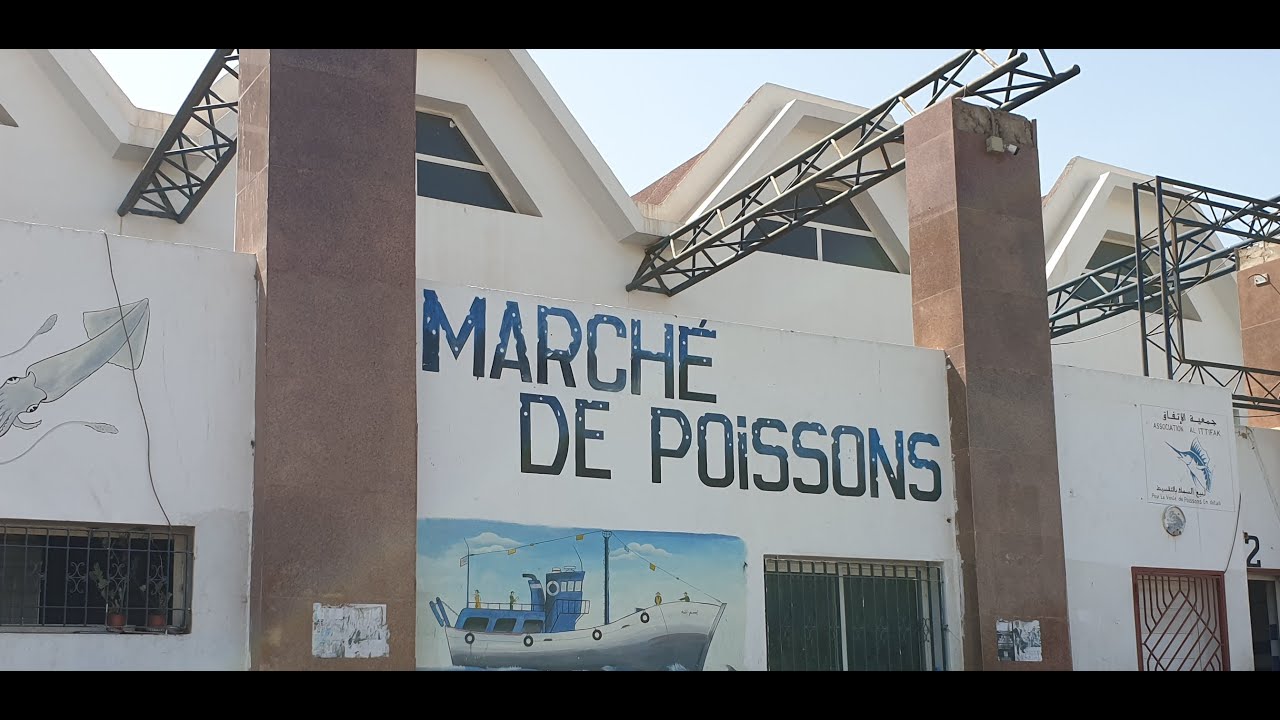 Vente poisson congelé à Agadir  بيع السمك المجمد بآكادير