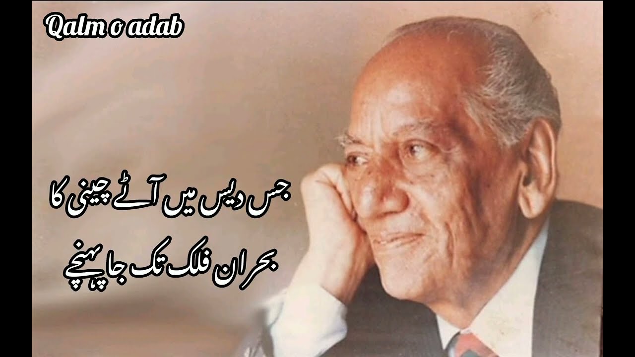 جس دیس سے ماوں بہنوں کو اغیار اٹھا کے لے جائیں(فیض احمد فیض)#poetry #faizahmadfaiz #viral #viral