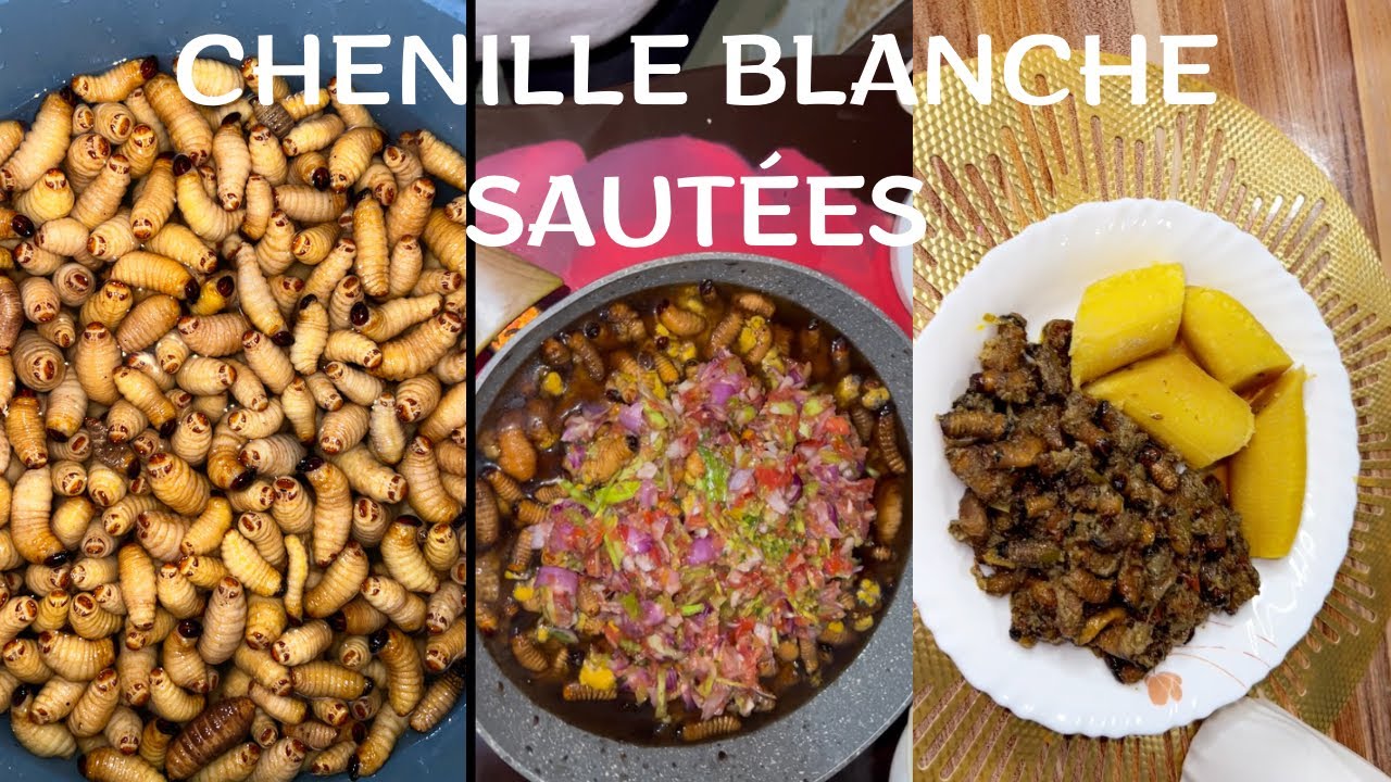 Comment préparer les chenilles blanche / Recette Facile et rapide