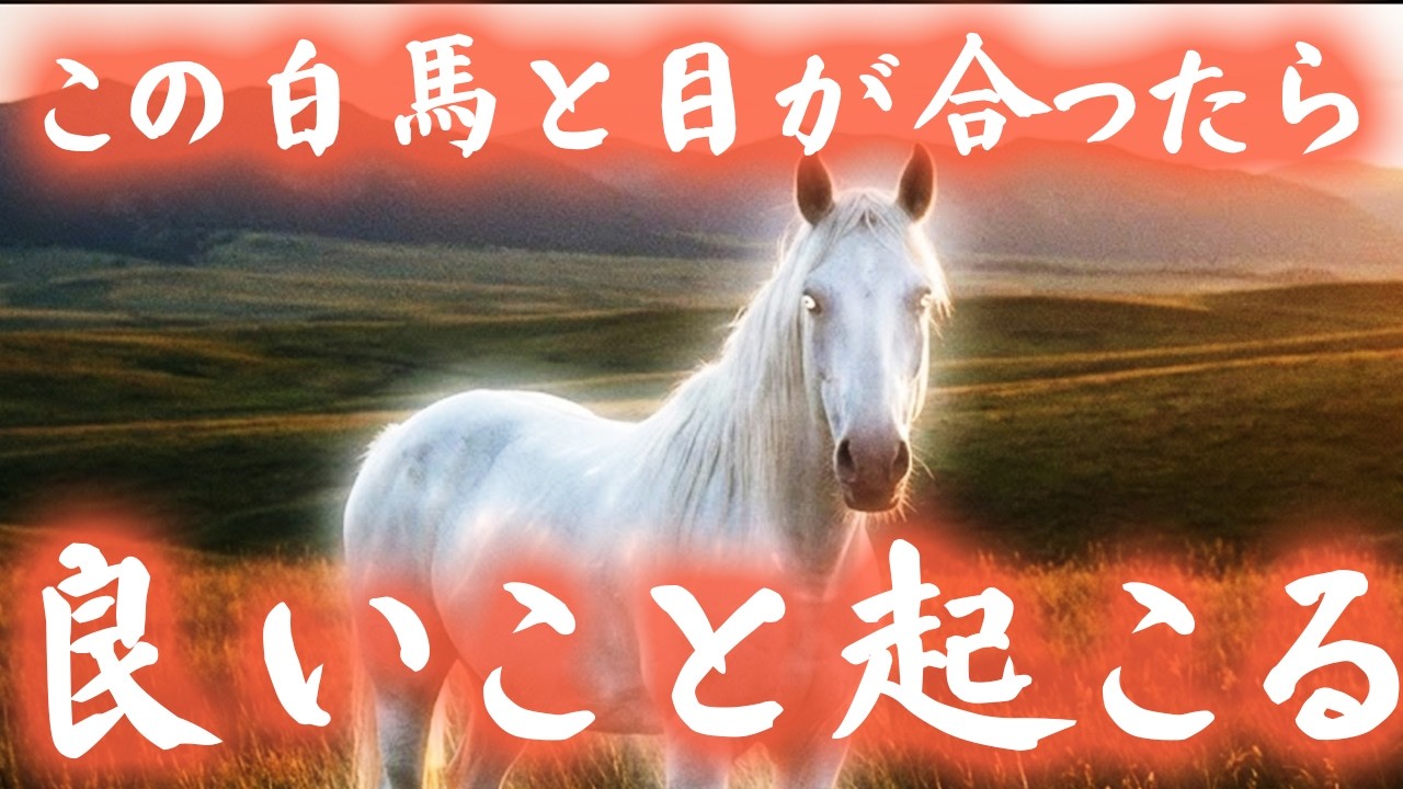 ⚠️目が合ったら良いこと起こる⚠️１分だけでも再生できた方、巨万の幸せが舞い込む幸運の白馬の映像。一度しか表示されません！
