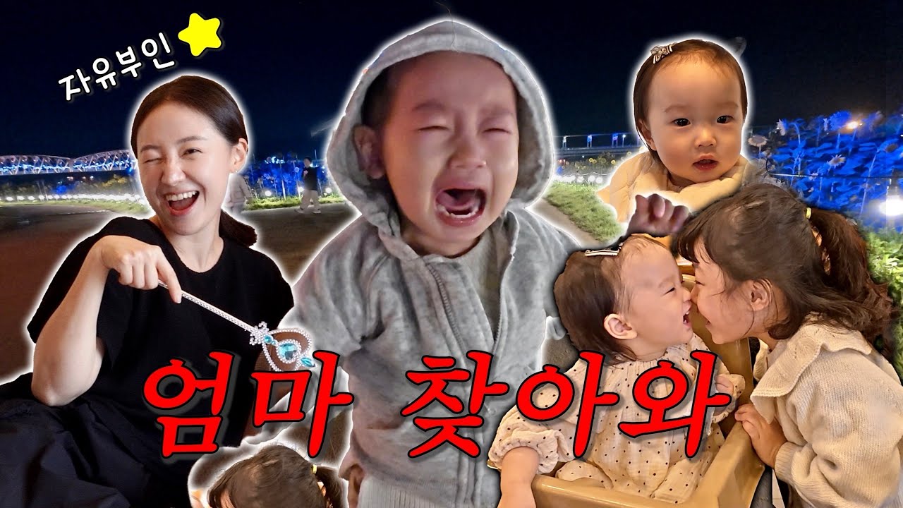 오늘은 자유부인 / 채태남매의 한밤중 등산 / 채유와의 만남